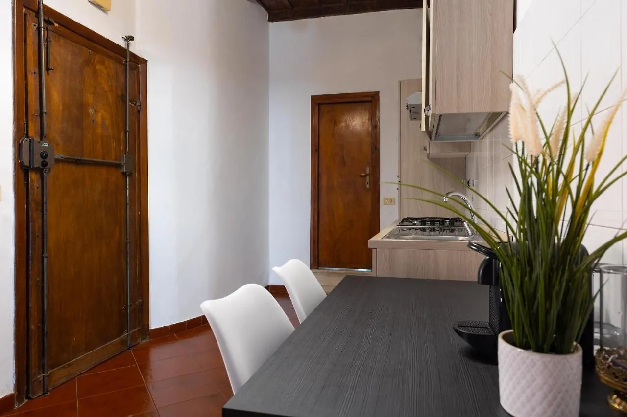 Navona Open Space Apartments Roma 4*,  Italia